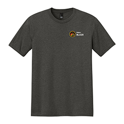 DISTRICT PERFECT TRI TEE - BLAZE